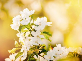 Синоптик назвав дату, коли прийде потепління: прогріється до +20 і вище