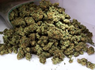 У працівника будівельного гіпермаркету у Мукачеві виявили наркотики