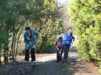 Закарпатські ветеринари прибрали 15 несанкціонованих сміттєзвалищ