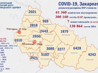 Кілька нових хворих та двоє померлих: яка ситуація із коронавірусом у Закарпатті за минулу добу