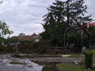 У Берегівській громаді триває обстеження пошкоджень після буревію