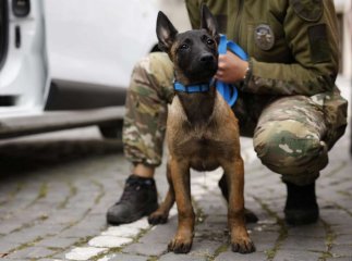 На Закарпатті започаткували нову програму підтримки ветеранів та ветеранок війни