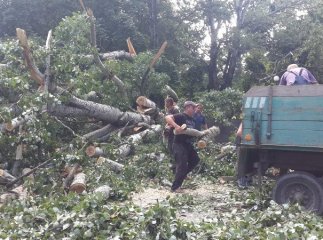 В Ужгороді продовжується ліквідація наслідків негоди