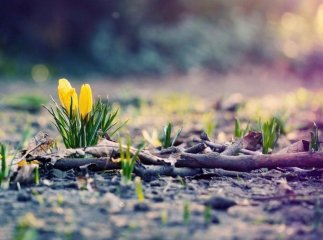 Синоптик розповіла, якою буде погода 1 березня