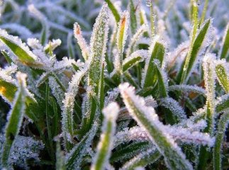 На Закарпаття насуваються заморозки