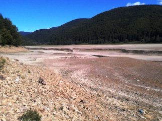 Тереблянське водосховище зменшилось не через спеку – його спустили навмисне