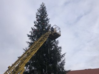 В Ужгороді почали прикрашати головну ялинку Закарпаття