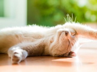 Синоптикиня обіцяє стрімке потепління в Україні