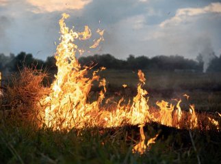 Мешканців Закарпаття попередили про надзвичайну небезпеку в неділю