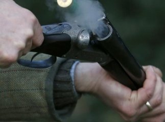 Трагедія на Закарпатті: чоловік вбив дружину, а потім скоїв самогубство