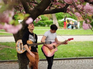 Гурт "Триставісім" презентував відеокліп про сакури (ВІДЕО)