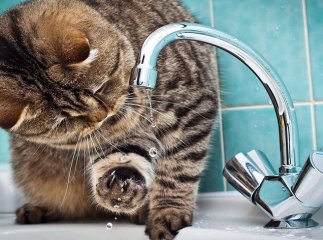Через аварію на водозаборі мікрорайон Росвигово залишився без води