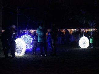 Другий день фестивалю "Червене вино – 2016" супроводжувався виступами закарпатських співаків