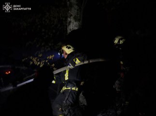 Небайдужі проїжджі врятували кафе на Берегівщині від повного знищення
