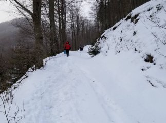 Озвучили нові деталі пошукової операції туристів, які вчора загубились в горах