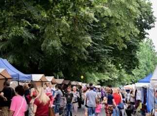 Сири, м’ясо, вино та мед: як в Ужгороді Петрівський ярмарок проходить