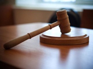 На Мукачівщині майстер лісу сплатить штраф у розмірі 260 тисяч гривень 