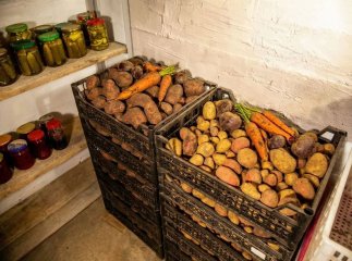 Температурна шпаргалка: при яких градусах зберігати овочі та фрукти, щоб вони довше були свіжими