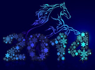 Відомі астрологи, екстрасенси та нумерологи склали свої пророцтва для України на 2014 рік