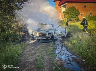 На Хустщині на дорозі згорів автомобіль