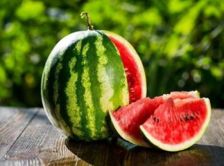 Ціни на кавуни значно впали