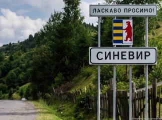 На Закарпатті зняли цікаве відео про тварин