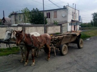 Чоловік знайшов 45 бетонних стовпів і вирішив їх привласнити