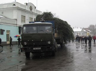 В Ужгород привезли і розпочали монтаж головної ялинки міста (ФОТО)