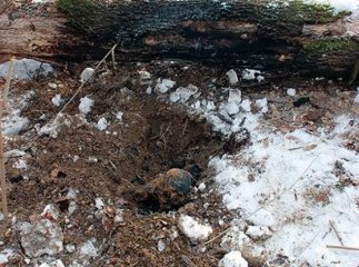 Головна версія жахливого вбивства в Мукачеві: помста дружині
