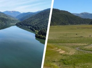 «Закарпатське море» суттєво обміліло, а по дну водосховища зараз пасуться корови