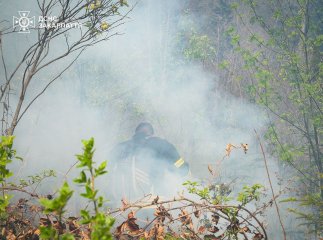 Вогнеборці локалізували масштабну лісову пожежу на Закарпатті