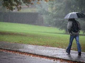 Грози та шквальний вітер: на Закарпатті оголошено штормове попередження