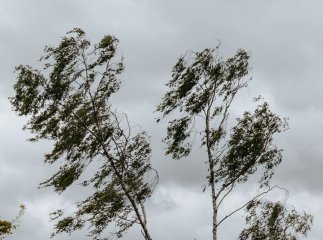 Погода в Україні: закарпатців попередили про грози вдень