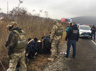 На Закарпатті затримали групу нелегальних мігрантів