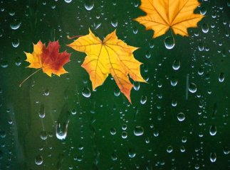 Коли перші морози