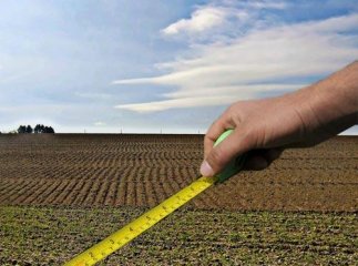 У Закарпатській області роздержавлено 170 сільськогосподарських підприємств