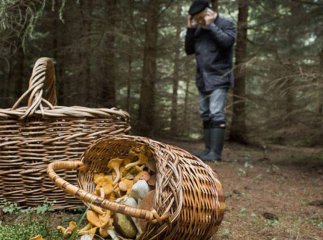 На Закарпатті всю ніч шукали грибника, який заблукав у лісі. Чоловіка поки не знайшли