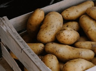 Дефіцит та ціни: чи всі зможуть купити картоплю у вересні