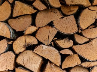 Які дрова горять найдовше, дають тепло та економлять гроші