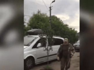 Посеред дороги у велику яму люди посадили дерево