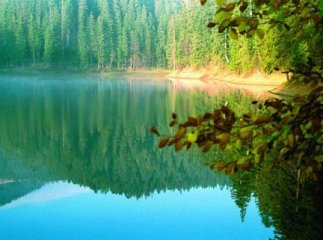 Приманка для туристів: найцікавіший маршрут "Синевира"