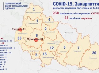 Зросла кількість закарпатців, хворих на коронавірус: карта поширення