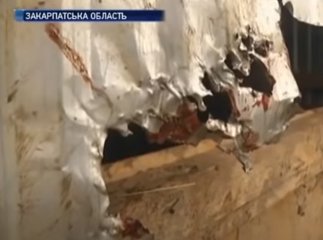Невідома тварина тероризує кілька сіл у Закарпатті