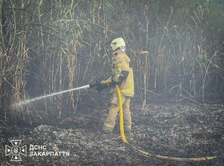 На Закарпатті гасили пожежі сухостою у двох районах