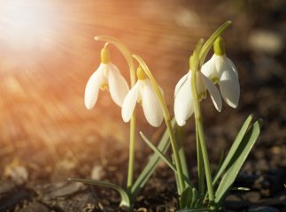 Якою буде погода сьогодні та на вихідні: прогноз для Закарпаття