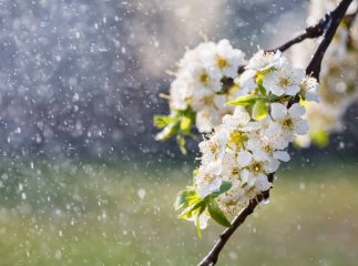 Різке похолодання та сильні опади: оголошено штормове попередження