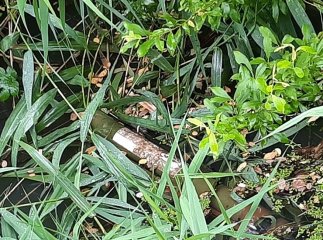 Обстріл комплексу AQUA City в Мукачеві: нові деталі інциденту