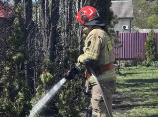 Пильність сусідки дала змогу загасити пожежу, яка швидко поширювалась по деревах