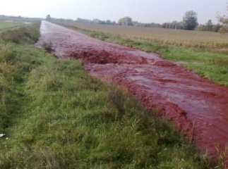 Через екологічну катастрофу в Угорщині можуть евакуювати Мукачево та Чоп
