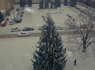 В інтернет-мережі оприлюднили відео головної ялинки Виноградова, зняте з висоти пташиного польоту